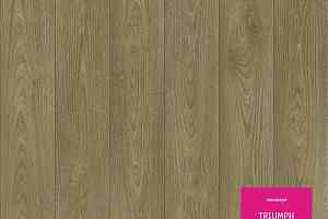 Линолеум Tarkett Triumph NOBLE OAK 2 фото  | FLOORDEALER